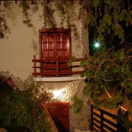 Rem'S Pension Rîşnov Buitenkant foto