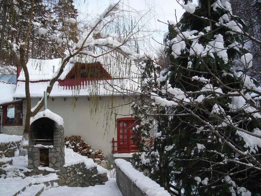Rem'S Pension Rîşnov Buitenkant foto