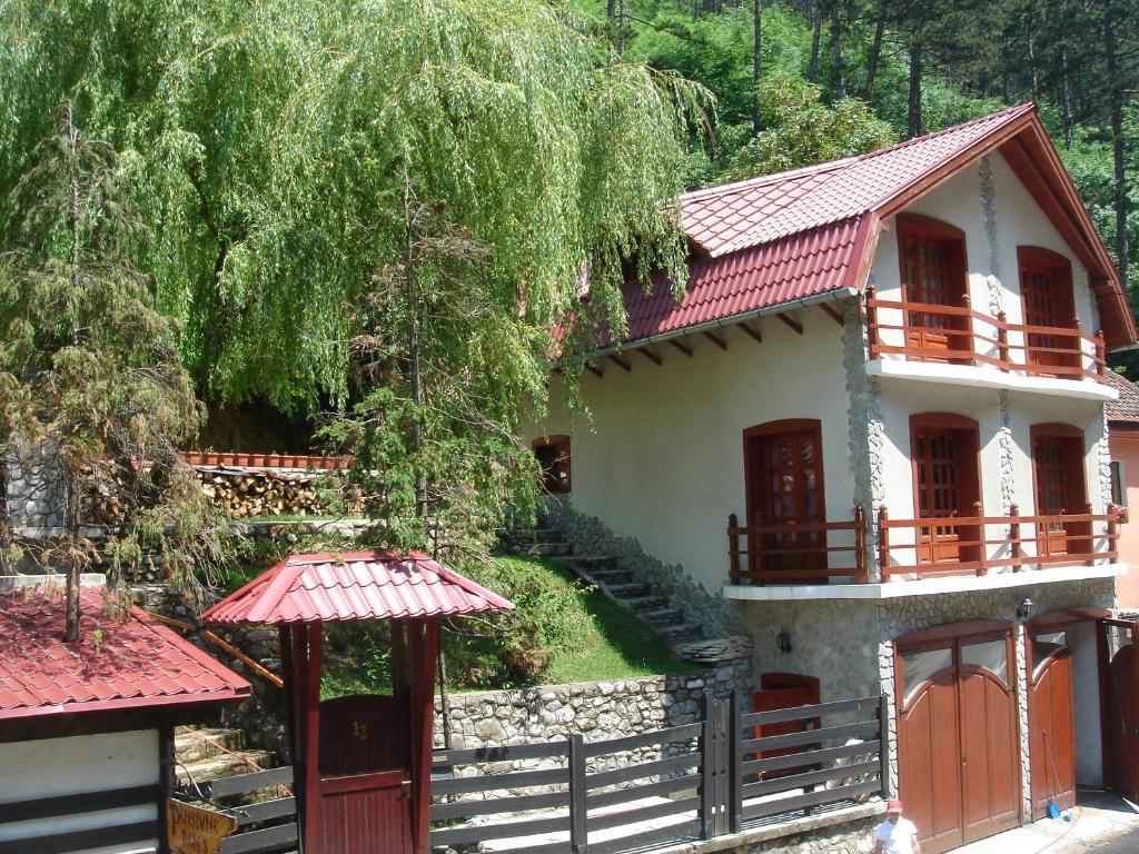 Rem'S Pension Rîşnov Buitenkant foto