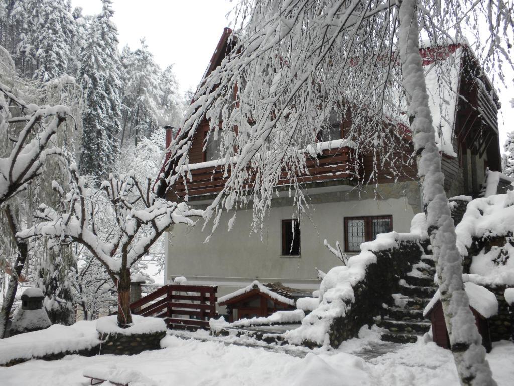 Rem'S Pension Rîşnov Buitenkant foto